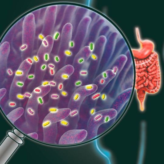 An illustration of the non-invasive way for identifying the major functions of the gastrointestinal tract. An illustration of the non-invasive way for identifying the major functions of the gastrointestinal tract.