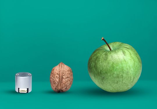 Größenvergleich: Der 22 mm Multiturn-Kit-Encoder neben Walnuss und Apfel. Größenvergleich: Der 22 mm Multiturn-Kit-Encoder neben Walnuss und Apfel.