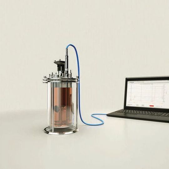 Laboratory bioreactor with an Excell 231 rod sensor for determination of the cell growth. Laboratory bioreactor with an Excell 231 rod sensor for determination of the cell growth.