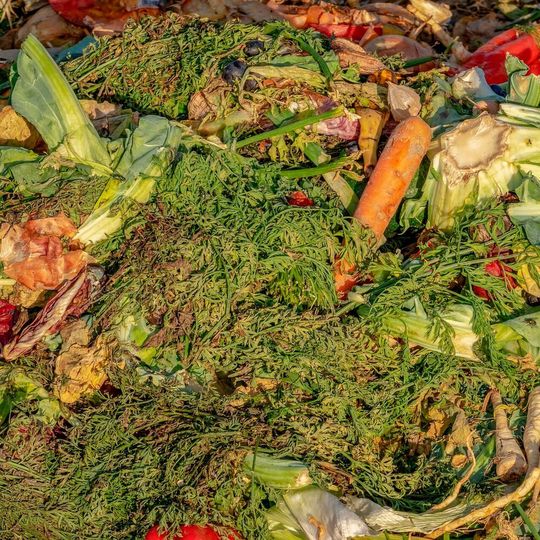 Die Nutzung biogener Ressourcen anstelle fossiler Rohstoffe zur Herstellung stabiler Biokunststoffprodukte ist eine zentrale Herausforderung der Bioökonomie. Die Nutzung biogener Ressourcen anstelle fossiler Rohstoffe zur Herstellung stabiler Biokunststoffprodukte ist eine zentrale Herausforderung der Bioökonomie.