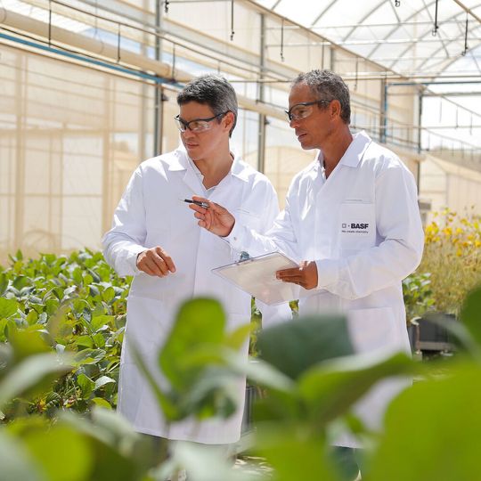 Bis 2030 sollen mehr als 30 große Projekte aus der Forschung und Entwicklung das kombinierte Portfolio der BASF aus Saatgut und Produkten zur Saatgutbehandlung, chemischen und biologischen Pflanzenschutzlösungen sowie digitalen Angeboten ergänzen. Bis 2030 sollen mehr als 30 große Projekte aus der Forschung und Entwicklung das kombinierte Portfolio der BASF aus Saatgut und Produkten zur Saatgutbehandlung, chemischen und biologischen Pflanzenschutzlösungen sowie digitalen Angeboten ergänzen.