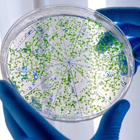 Das Projekt Priorisation and Risk Evaluation of Medicines in the Environment (Premier) soll ein neuartiges Informations- und Bewertungssystem zur Identifizierung und Bewertung der Umweltrisiken von Arzneimitteln entwickeln, insbesondere für solche mit mangelnder Datenverfügbarkeit. Das Projekt Priorisation and Risk Evaluation of Medicines in the Environment (Premier) soll ein neuartiges Informations- und Bewertungssystem zur Identifizierung und Bewertung der Umweltrisiken von Arzneimitteln entwickeln, insbesondere für solche mit mangelnder Datenverfügbarkeit.