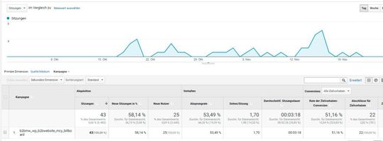 Kein sinnloser Traffic, der nicht konvertiert, dafür Vertriebs-relevante Leads, die Umsatz bringen – die Analytics-Werte der Banner-Kampagne im Überblick.