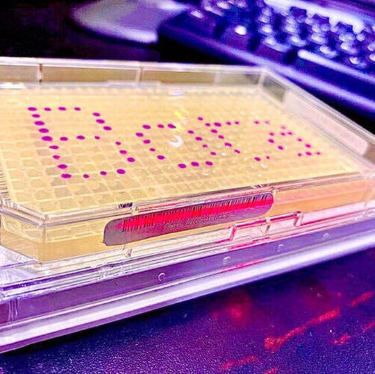 BASF Venture Capital has invested in Bota Biosciences, an industrial synthetic biotech company based in Hangzhou, China. BASF Venture Capital has invested in Bota Biosciences, an industrial synthetic biotech company based in Hangzhou, China.