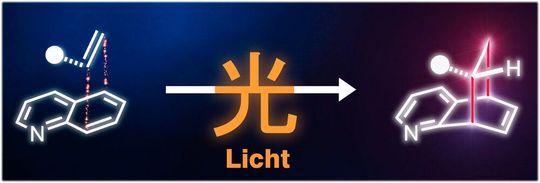 Aus einem flachen, stickstoffhaltigen Molekül wird durch photochemische Synthese ein dreidimensionales Molekül (Illustration). Das chinesische Schriftzeichen auf dem Pfeil bedeutet „Licht“. Aus einem flachen, stickstoffhaltigen Molekül wird durch photochemische Synthese ein dreidimensionales Molekül (Illustration). Das chinesische Schriftzeichen auf dem Pfeil bedeutet „Licht“.