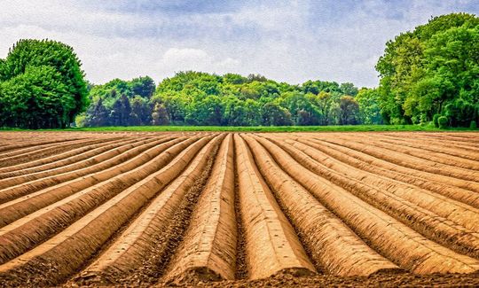 Wie groß ist die Belastung von Äckern mit Mikroplastik? Das sollen Forschungsarbeiten in einem EU-weiten Projekt untersuchen. Wie groß ist die Belastung von Äckern mit Mikroplastik? Das sollen Forschungsarbeiten in einem EU-weiten Projekt untersuchen.