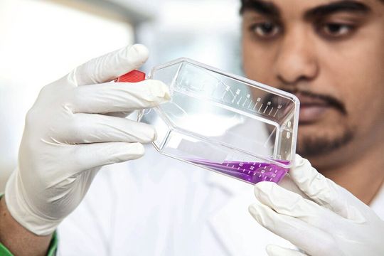 Forschung zu biomedizinischen Themen an der Universität Ulm (Symbolbild) Forschung zu biomedizinischen Themen an der Universität Ulm (Symbolbild)