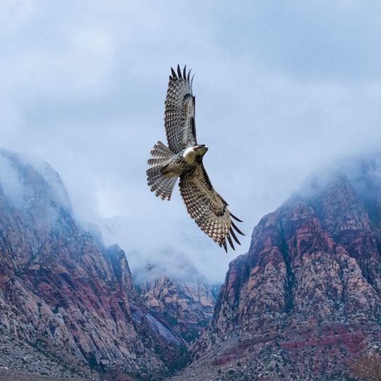 Die Lösung Hawk schafft Transparenz in der Cloud. Die Lösung Hawk schafft Transparenz in der Cloud.