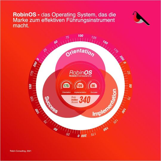 RobinOS ist der Methoden- und Toolbaukasten, um Unternehmen in Transformationsprozessen Orientierung mit der Marke zu bieten.