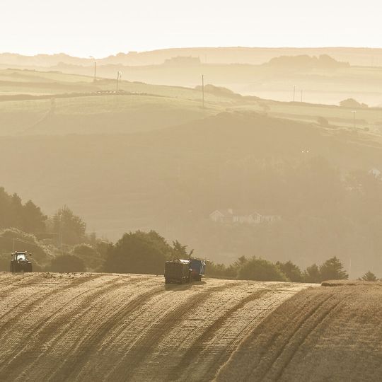 In der Land- und Forstwirtschaft entstehen Abfälle wie z.B. Holz, Rinde und Stroh. In der Land- und Forstwirtschaft entstehen Abfälle wie z.B. Holz, Rinde und Stroh.