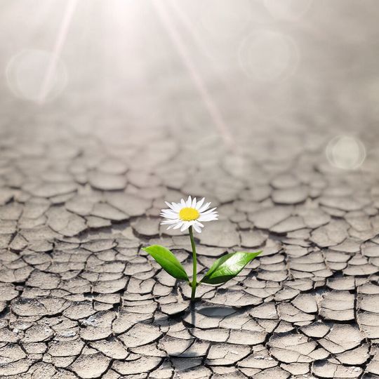 Kontinuierliche Weiterbildung, eine offene Arbeitskultur sowie gute Führung sind zentrale Bausteine für die Resilienz von Mitarbeitenden Kontinuierliche Weiterbildung, eine offene Arbeitskultur sowie gute Führung sind zentrale Bausteine für die Resilienz von Mitarbeitenden