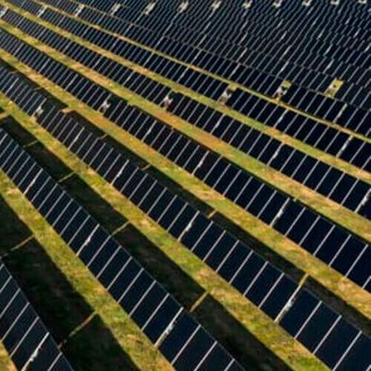 The Armadillo Solar Center in Navarro County, Texas, USA. The Armadillo Solar Center in Navarro County, Texas, USA.