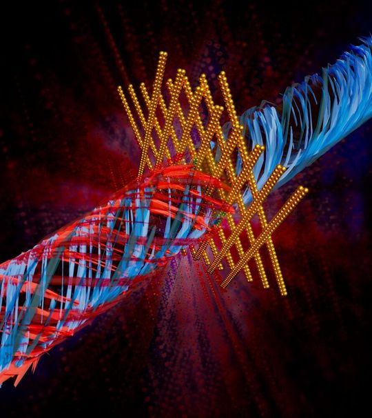 Chiral, stacked nanoparticle lines efficiently filter light polarizations. They allow only left-circularly polarized light to pass (blue) and retain right-circularly polarized light (red). Chiral, stacked nanoparticle lines efficiently filter light polarizations. They allow only left-circularly polarized light to pass (blue) and retain right-circularly polarized light (red).