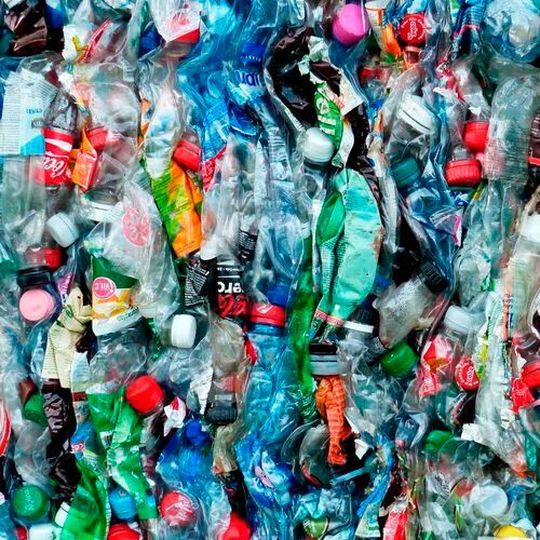 The businesses will also explore the potential to crowdsource and digitally track waste collection in order to create significant and reliable streams of raw material feedstock which will meet the needs of buyers. The businesses will also explore the potential to crowdsource and digitally track waste collection in order to create significant and reliable streams of raw material feedstock which will meet the needs of buyers.