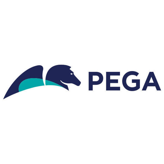 Pega Inifinity Release 8.6 is expected to be available mid-year.