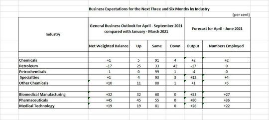 Business expectations for the next three and six months by the industry.