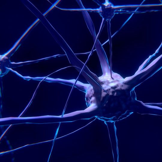 A pioneering study has focused on developing stem cell-derived midbrain dopamine progenitors for the treatment of Parkinson’s Disease. A pioneering study has focused on developing stem cell-derived midbrain dopamine progenitors for the treatment of Parkinson’s Disease.