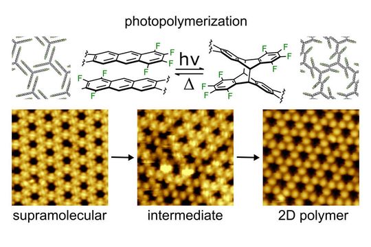 So sieht der Reaktionsweg aus, den die sich selbst organisierenden molekularen Strukturen bis zum verknüpften 2D-Polymer durchlaufen. Sie lassen sich übrigens maßschneidern, heißt es.