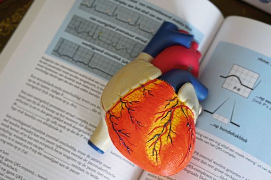 Bluthochdruck und Übergewicht gehen oft Hand in Hand. Eine neue Studie hat nun einige der komplexen biologischen Mechanimsen untersucht (Symbolbild). Bluthochdruck und Übergewicht gehen oft Hand in Hand. Eine neue Studie hat nun einige der komplexen biologischen Mechanimsen untersucht (Symbolbild).