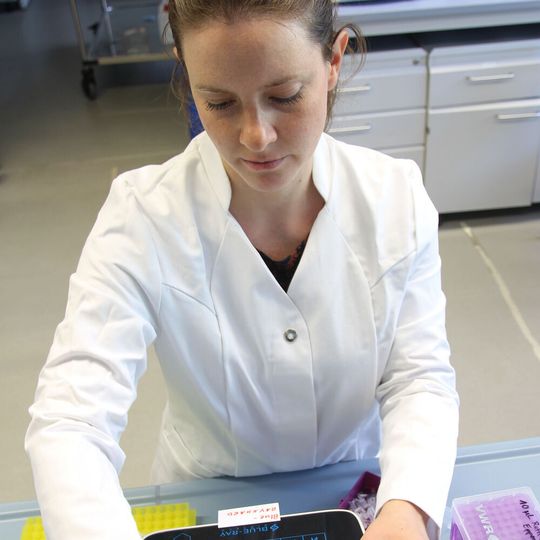 Dr. Sarah Prexler ist neben Prof. Dirk Holtmann für das Projekt verantwortlich. Dr. Sarah Prexler ist neben Prof. Dirk Holtmann für das Projekt verantwortlich.