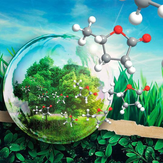 Chemiker der Universität Regensburg haben das vielversprechende, „grüne“ Lösungsmittel „γ-Valerolacton“ (GVL) genauer untersucht. Chemiker der Universität Regensburg haben das vielversprechende, „grüne“ Lösungsmittel „γ-Valerolacton“ (GVL) genauer untersucht.