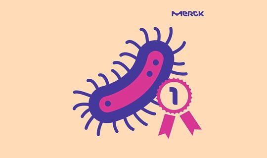 Mit Mikroben aus Plastikmüll Nahrung für den Menschen machen – für die ersten Schritte zur Verwirklichung dieser Vision gab es den Future Insight Prize 2021 von Merck. Mit Mikroben aus Plastikmüll Nahrung für den Menschen machen – für die ersten Schritte zur Verwirklichung dieser Vision gab es den Future Insight Prize 2021 von Merck.