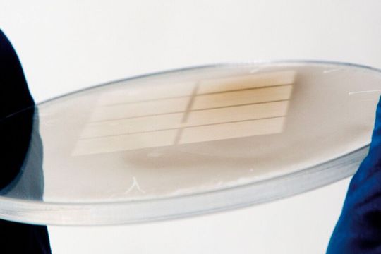 Aufnahme eines Schutzglases, das nicht rechtzeitig gewartet wurde. Aufnahme eines Schutzglases, das nicht rechtzeitig gewartet wurde.