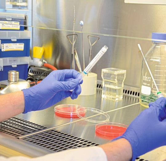 Laborversuch am Bremerhavener Institut für angewandte Molekularbiologie Laborversuch am Bremerhavener Institut für angewandte Molekularbiologie