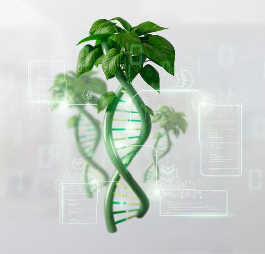 Die Life-Sciences-Industrie hat das Thema Nachhaltigkeit entdeckt. Die Life-Sciences-Industrie hat das Thema Nachhaltigkeit entdeckt.