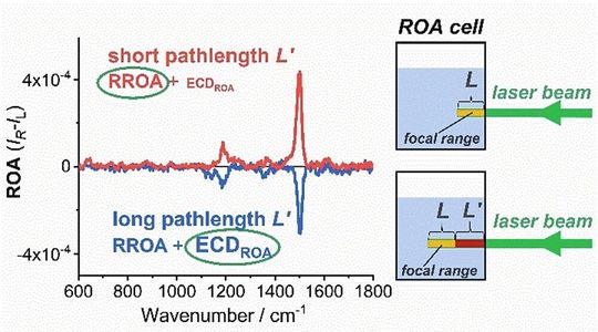 ROA-Spektren von (CN)13-epi-Cbl(e-lactone) bei einer Konzentration von 0,8 mg/ml, gemessen für verschiedene Zellpositionen: Brennweite der Länge L nahe der Zellwand (es dominiert Resonant Raman optical activity = RROA) und Brennweite im Abstand L′ von der Wand (es dominiert electronic circular dichroism = ECD-ROA).