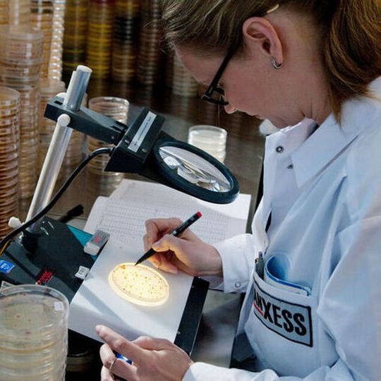 Lanxess will pay around 1.3 billion dollars for IFF’s microbial control business. Lanxess will pay around 1.3 billion dollars for IFF’s microbial control business.
