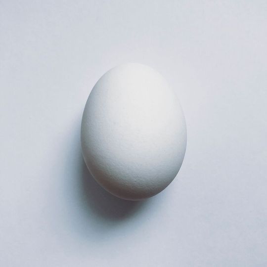Researchers have discovered the universal mathematical formula that can describe any bird’s egg existing in nature. Researchers have discovered the universal mathematical formula that can describe any bird’s egg existing in nature.