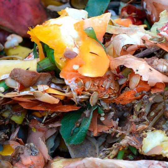 Das Ziel von Cafipla ist die Entwicklung eines integrierten Vorbehandlungsverfahrens zur Umwandlung heterogener organischer Materialien in Bausteine für die biobasierte Wirtschaft. Das Ziel von Cafipla ist die Entwicklung eines integrierten Vorbehandlungsverfahrens zur Umwandlung heterogener organischer Materialien in Bausteine für die biobasierte Wirtschaft.