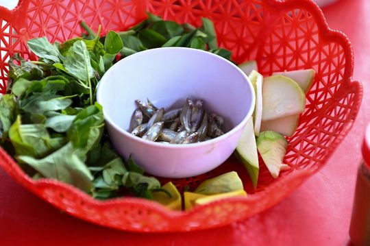 Using content analysis, World Fish assessed the alignment of objectives in national fisheries and public health nutrition policies. Using content analysis, World Fish assessed the alignment of objectives in national fisheries and public health nutrition policies.