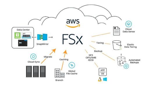 Amazon FSx para NetApp ONTAP ofrece a las empresas acceso a los servicios nativos de AWS y a los servicios de datos de la cartera de NetApp.
