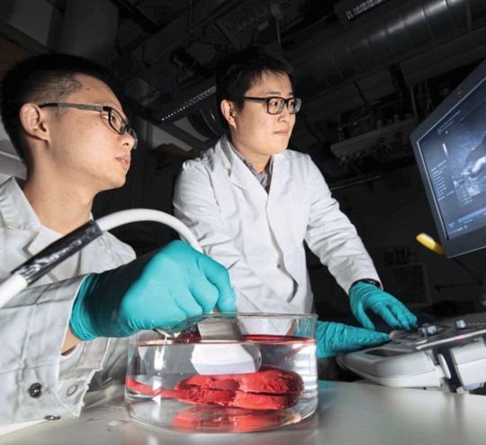 Bei cyber-physische Nachbildungen von Organen wird ein physisches System mit virtuellen Eigenschaften kombiniert. Bei cyber-physische Nachbildungen von Organen wird ein physisches System mit virtuellen Eigenschaften kombiniert.