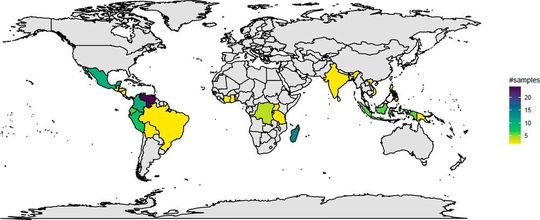 Mithilfe der mittels einer neuen Methodik gewonnenen Forschungsergebnisse legen Wissenschaftler den Grundstein für eine Weltkarte, in der umfassende Daten zu geschmacksrelevanten Kakao-Inhaltsstoffen verzeichnet sind.