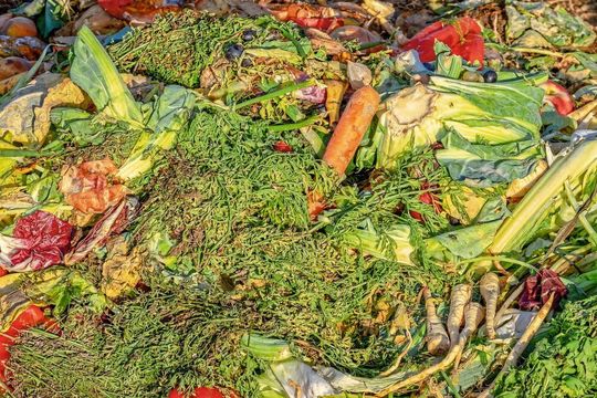 Die neue Form der Bioabfallverordnung setzt eine Höchstgrenze für Plastik im Biomüll fest (Symbolbild). Die neue Form der Bioabfallverordnung setzt eine Höchstgrenze für Plastik im Biomüll fest (Symbolbild).