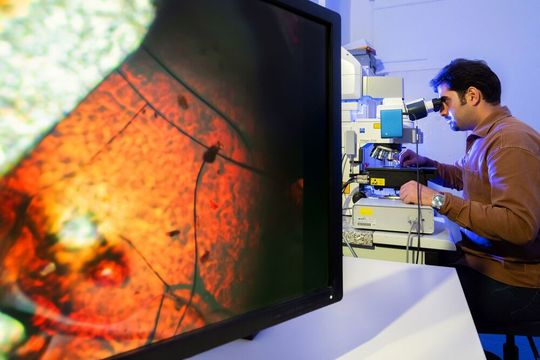 Vahid Nozari von der Universität Jena untersucht am Mikroskop das synthetische Glas, das aus einem MOF-Material besteht. Vahid Nozari von der Universität Jena untersucht am Mikroskop das synthetische Glas, das aus einem MOF-Material besteht.