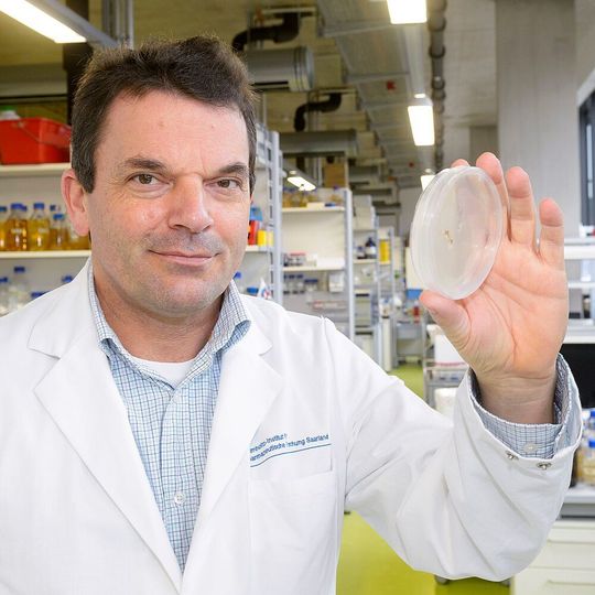 Professor Rolf Müller, geschäftsführender Direktor des Helmholtz-Instituts für Pharmazeutische Forschung Saarland (Hips) Professor Rolf Müller, geschäftsführender Direktor des Helmholtz-Instituts für Pharmazeutische Forschung Saarland (Hips)