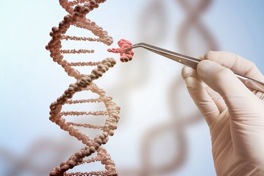 Genome Editing ist durch die CRISPR-Methode deutlich einfacher geworden (Symbolbild). Genome Editing ist durch die CRISPR-Methode deutlich einfacher geworden (Symbolbild).