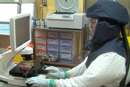 Mit einem neuen Modell ist Forschung zu SARS-CoV-2 nicht mehr auf Hochsicherheitslabors beschränkt – Aufnahme aus dem Hochsicherheitslabor des Instituts für Virologie und Immunologie (IVI). Mit einem neuen Modell ist Forschung zu SARS-CoV-2 nicht mehr auf Hochsicherheitslabors beschränkt – Aufnahme aus dem Hochsicherheitslabor des Instituts für Virologie und Immunologie (IVI).