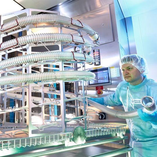 Ein Mitarbeiter von Boehringer Ingelheim bei der Vorbereitung von Produkttransferschläuchen für die Reinigung. Ein Mitarbeiter von Boehringer Ingelheim bei der Vorbereitung von Produkttransferschläuchen für die Reinigung.