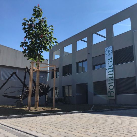 Botanica bietet nachhaltige Pflanzenextrakte für die Kosmetikindustrie an. Botanica bietet nachhaltige Pflanzenextrakte für die Kosmetikindustrie an.