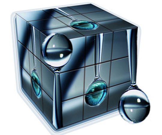 Bild: pixelio.de, Rosenstaude Bild: pixelio.de, Rosenstaude