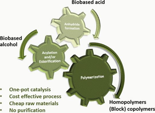 Ressourcensparende Synthese von Polyacrylat- und Polymethacrylatharzen aus biologischen Rohstoffen. Ressourcensparende Synthese von Polyacrylat- und Polymethacrylatharzen aus biologischen Rohstoffen.