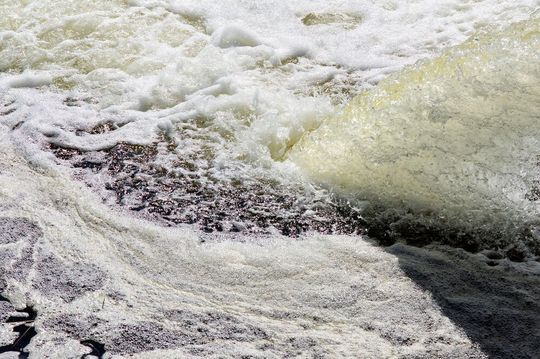 Human sewage can introduce disease-causing pathogens and nitrogen into the ocean. Human sewage can introduce disease-causing pathogens and nitrogen into the ocean.