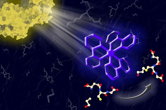 By mimicking photosynthesis, MIT researchers have designed a new type of photocatalyst that can absorb light and use it to help catalyze a variety of chemical reactions that would otherwise be difficult to perform. By mimicking photosynthesis, MIT researchers have designed a new type of photocatalyst that can absorb light and use it to help catalyze a variety of chemical reactions that would otherwise be difficult to perform.