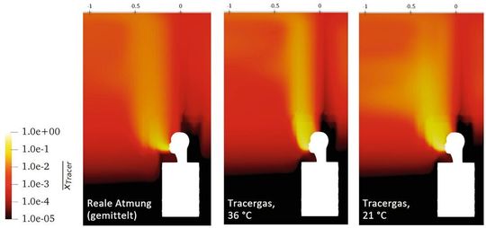 Zeitlich gemittelte Aerosolkonzentration bei realer Atmung (links) beziehungsweise Tracergaskonzentration für verschieden temperierte Tracergase beim kontinuierlichen Einströmen (mitte, rechts).