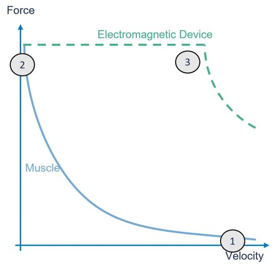 Die Kraft-Geschwindigkeitskennlinie des menschlichen Muskels unterscheidet sich deutlich von der eines Elektromotors. Während der Muskel mit geringer Leistung hohe Kräfte aufbringen kann, benötigt man für einen Elektromotor extreme Leistungsreserven, um diese Kräfte zu erreichen. Dieser kann dafür im Gegensatz zum Muskel beides: hohe Kraft und gleichzeitig hohe Geschwindigkeit, was aber nicht bei allen Anwendungen zwingend notwendig ist. Die Kraft-Geschwindigkeitskennlinie des menschlichen Muskels unterscheidet sich deutlich von der eines Elektromotors. Während der Muskel mit geringer Leistung hohe Kräfte aufbringen kann, benötigt man für einen Elektromotor extreme Leistungsreserven, um diese Kräfte zu erreichen. Dieser kann dafür im Gegensatz zum Muskel beides: hohe Kraft und gleichzeitig hohe Geschwindigkeit, was aber nicht bei allen Anwendungen zwingend notwendig ist.